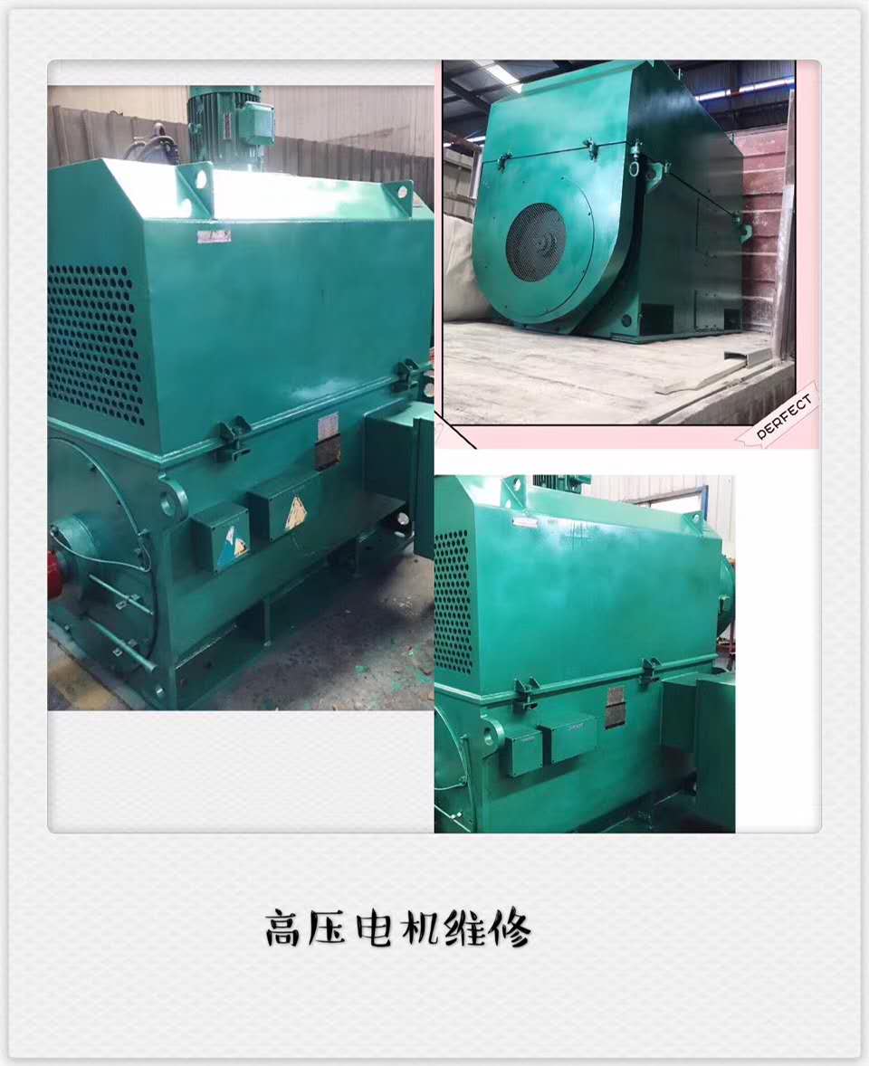 杭州高压电机修理